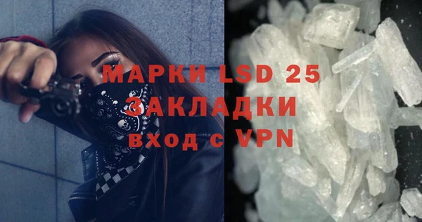 сатива Елабуга