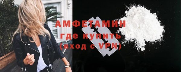сатива Елабуга