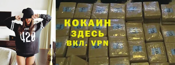 сатива Елабуга