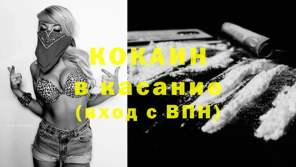 сатива Елабуга