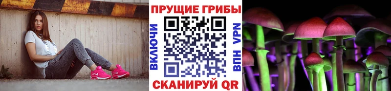 Галлюциногенные грибы Psilocybe наркота Обь